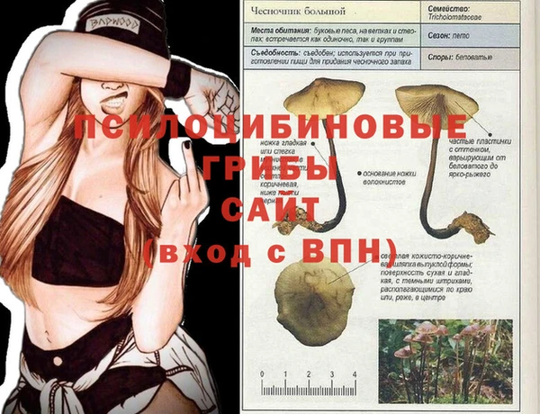 прущая мука Белокуриха